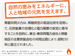 自然の恵みをエネルギーに人と地域の元気を支えます。