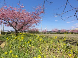 20150324掲載写真①