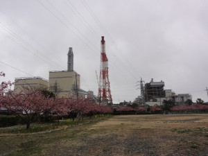 20150323掲載写真②