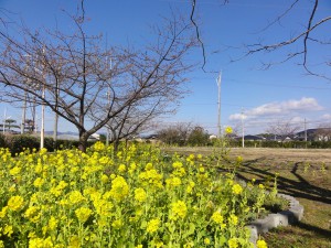 DSC08045aa