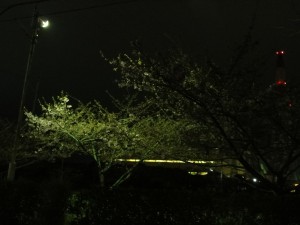 20150319掲載写真