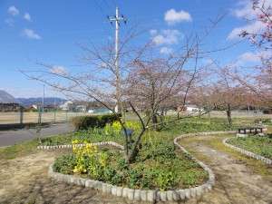 20150311掲載写真A