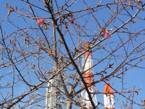 20150302掲載写真