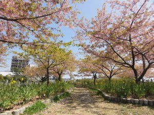20160331掲載写真①