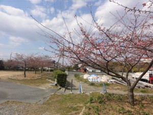 20160303掲載写真②