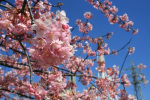 20160318公開写真②