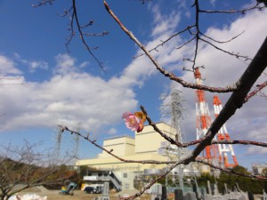 20160205掲載写真①