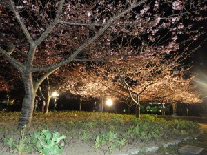 20160307掲載写真①