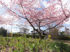 20160325掲載写真①