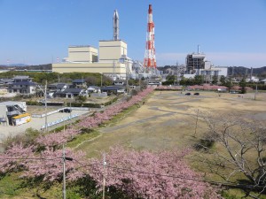 20160322掲載写真①