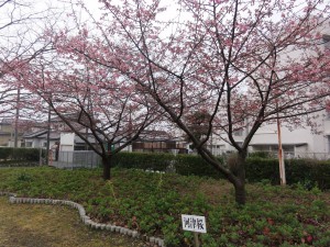 20160307掲載写真②