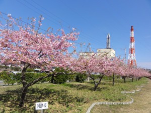 20160322掲載写真②