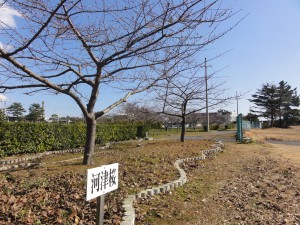 20160205掲載写真②