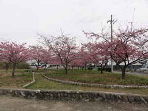 20160310掲載写真