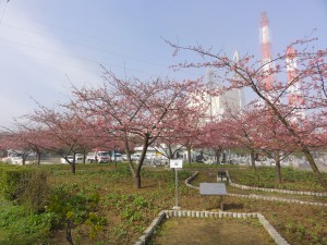 20160308掲載写真②