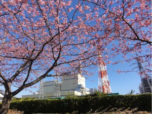 20170308掲載写真①