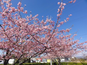 20170317掲載写真①