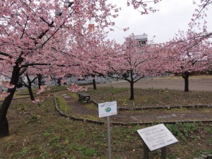 20170315掲載写真①