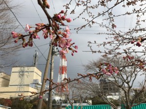 20170220掲載写真②