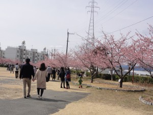 20170312掲載写真2